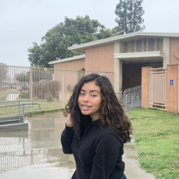 Meet your Posher, Lucy - Picture 1 of 1